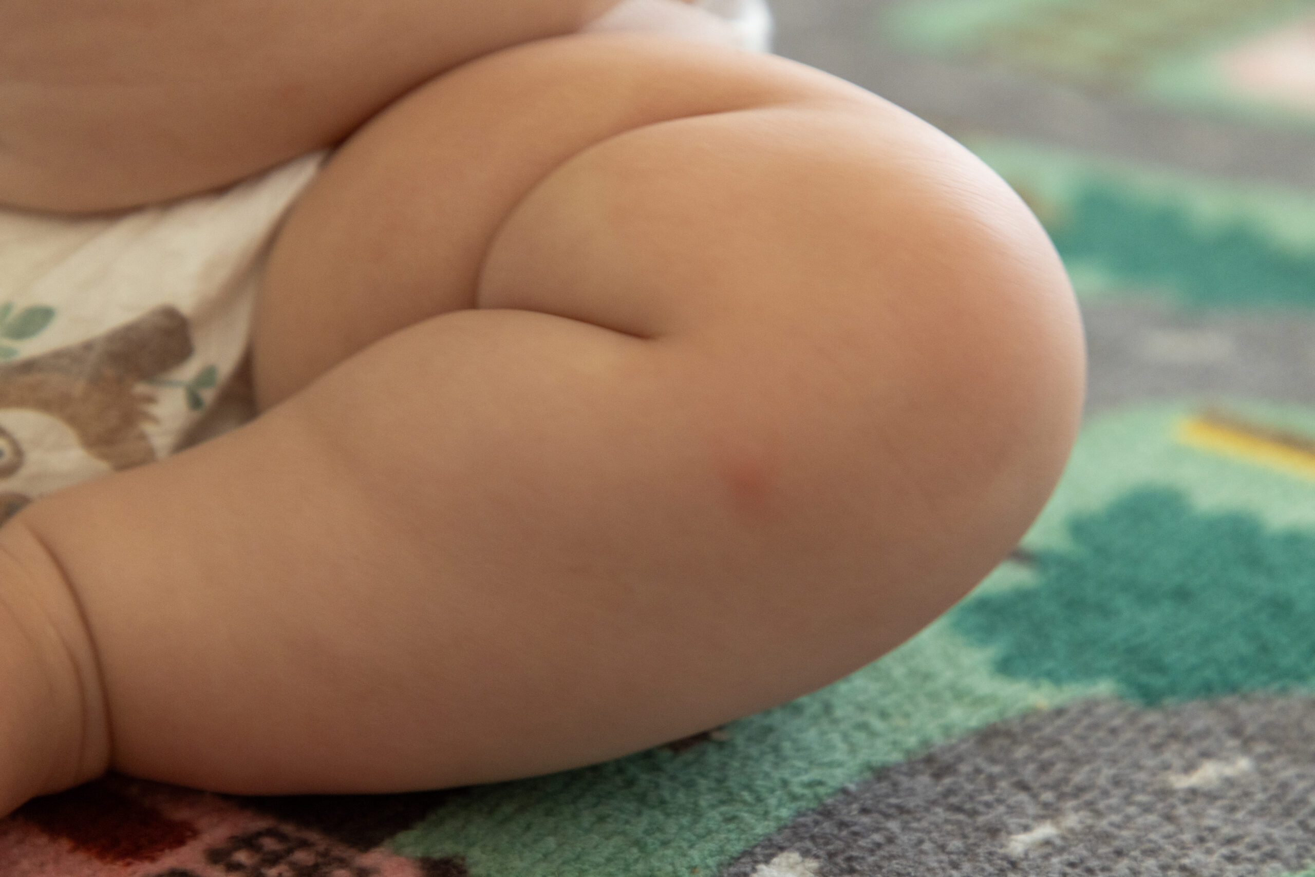 Новая книга 2022