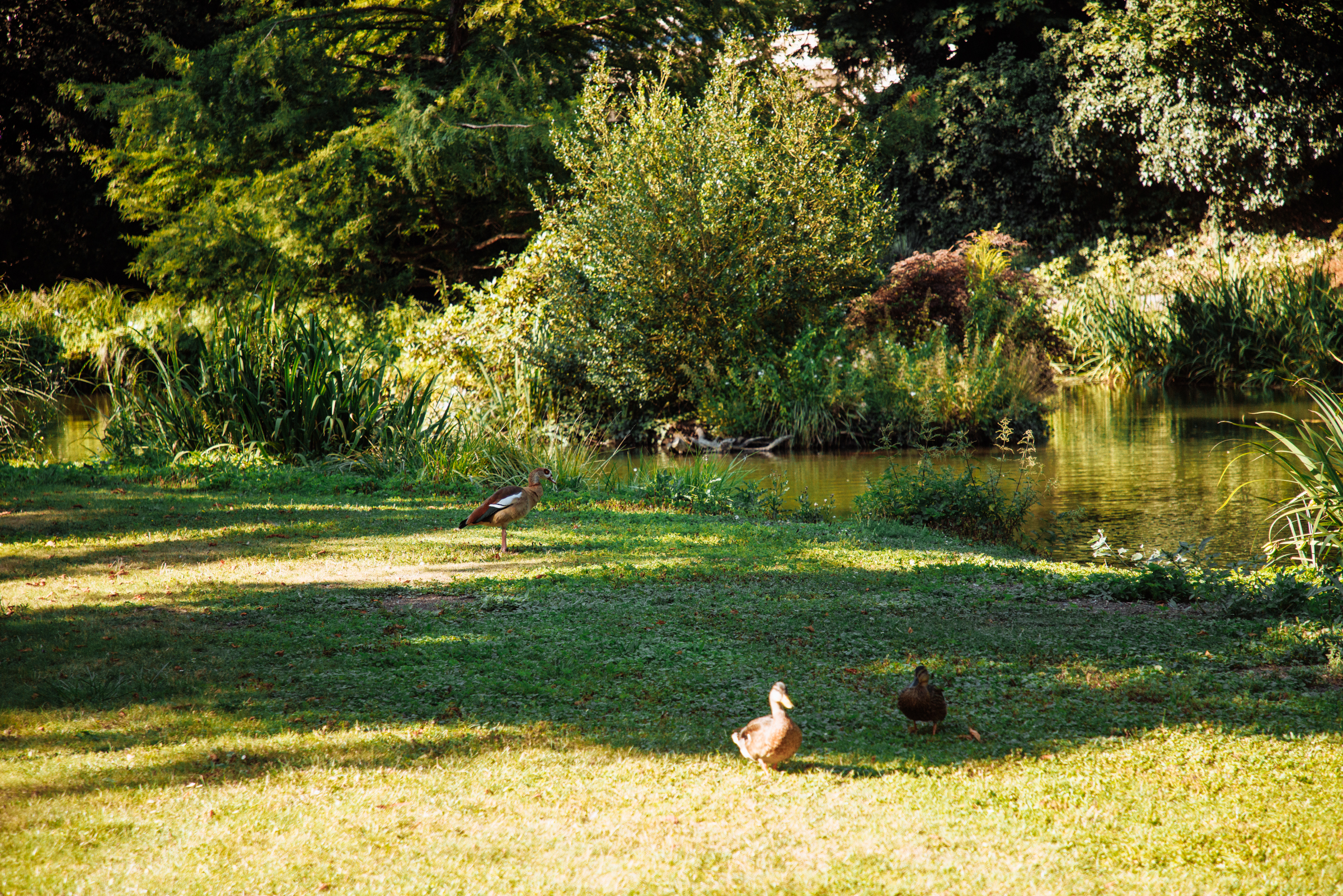 Фелисити Мартин