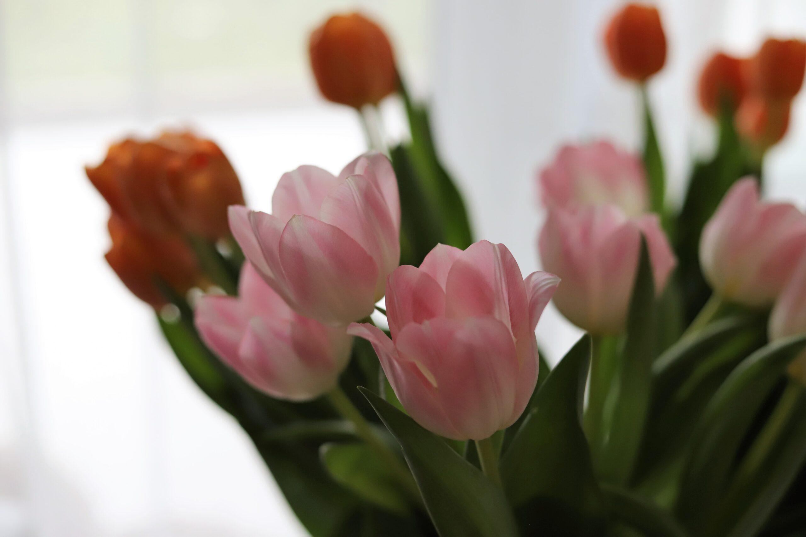 О планировании вязания